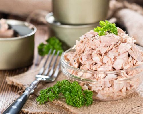 Best Canned Tuna